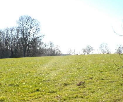 Baugrundstück mit traumhaftem Blick - mit fertigem Keller und Terrassenfläche, Garage + Carport