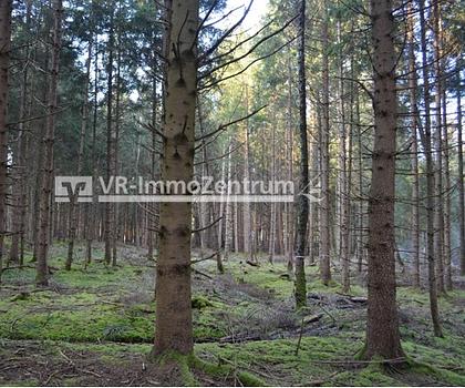 attraktives Waldgrundstück