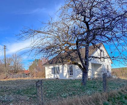 potentialreiches Einfamilienhaus direkt am Landschaftsschutzgebiet in Berg