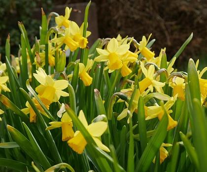 EFH / ZFH - Mehrgenerationenhaus - ein Traum zum Leben - die Schlüsselfee gibt es doch!